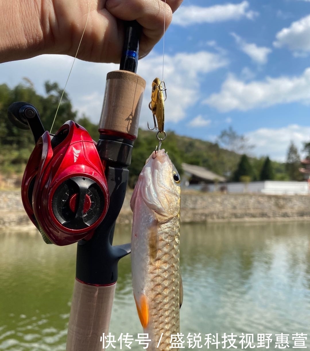 赤眼鳟用什么饵钓最好