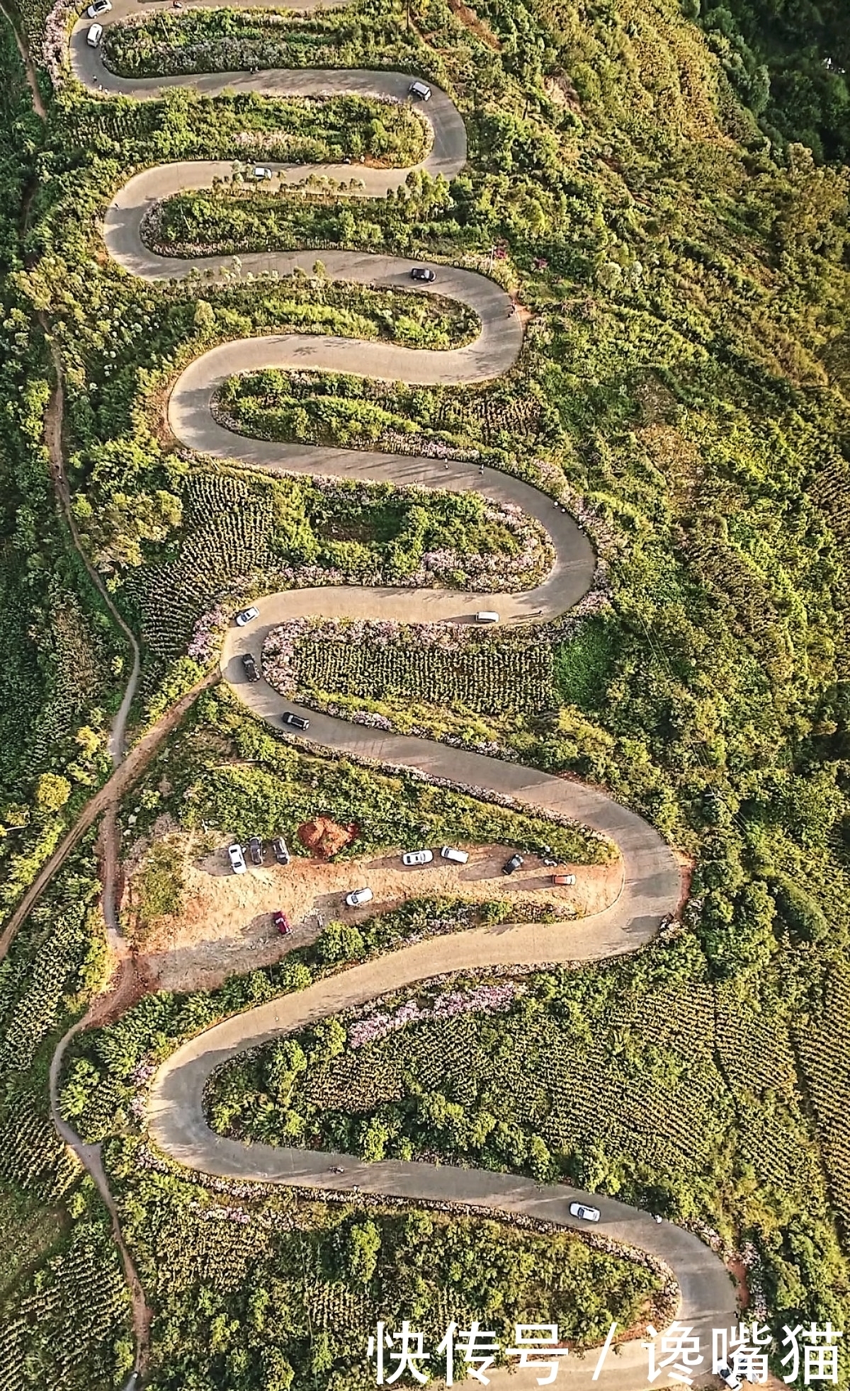 公路|靖安哨公路天下第一弯 开车10秒就要打一次方向盘