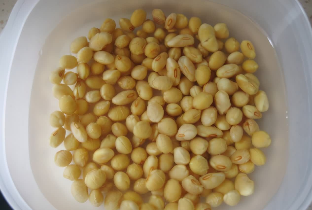 “一等养花肥”从不需花钱买,亲自动手制作,效果好还不烧苗