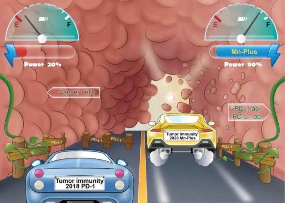 免疫治疗|“锰”吃点，或降低癌症发病率