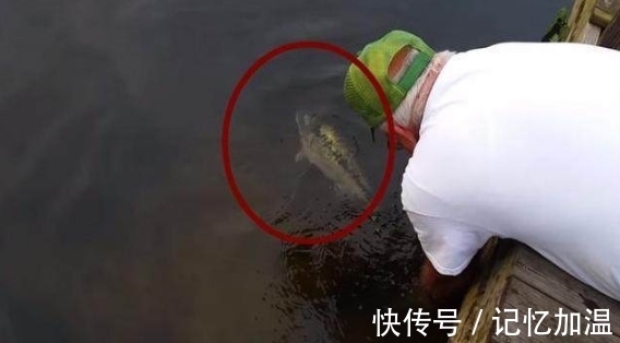 农民|农民大叔不好好钓鱼却伸手进水里，众人嘲笑他，结果却令人吃惊