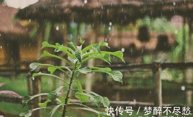 朋友|很像“及时雨”的4生肖，言出必行，心胸广，雪中送炭，很靠谱