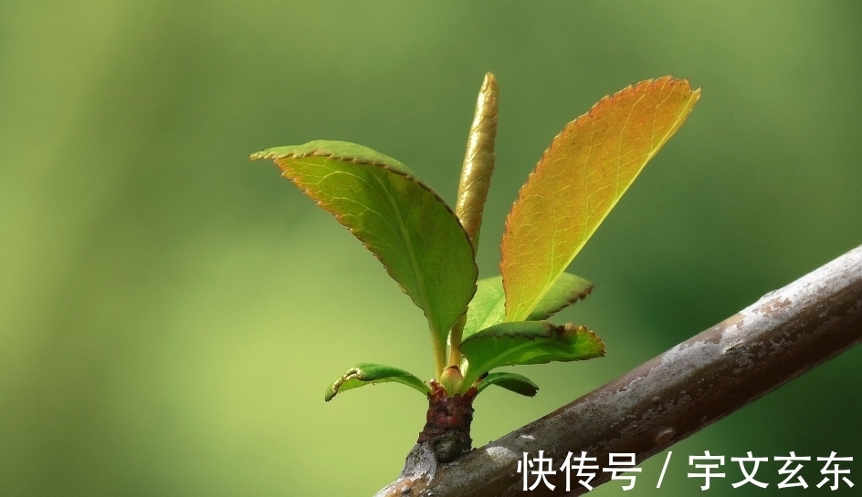 马爱|7月，旧情人回头，月老撮合，旧情复燃，3生肖回心转意，难解难分