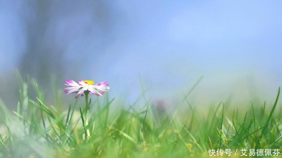 曾国藩一个家庭,一定要牢记这八点,方能走向发达,长盛不衰!