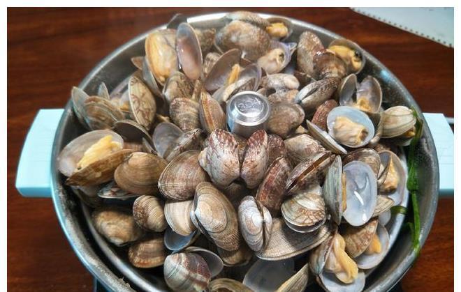 鲜香|煮花甲是冷水下锅还是热水下锅？这样做鲜香无腥味，又嫩又好吃