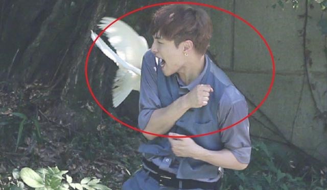 向往的生活|《向往的生活5》预告,黄磊还是老狐狸,张艺兴“捡鸡蛋”工具人