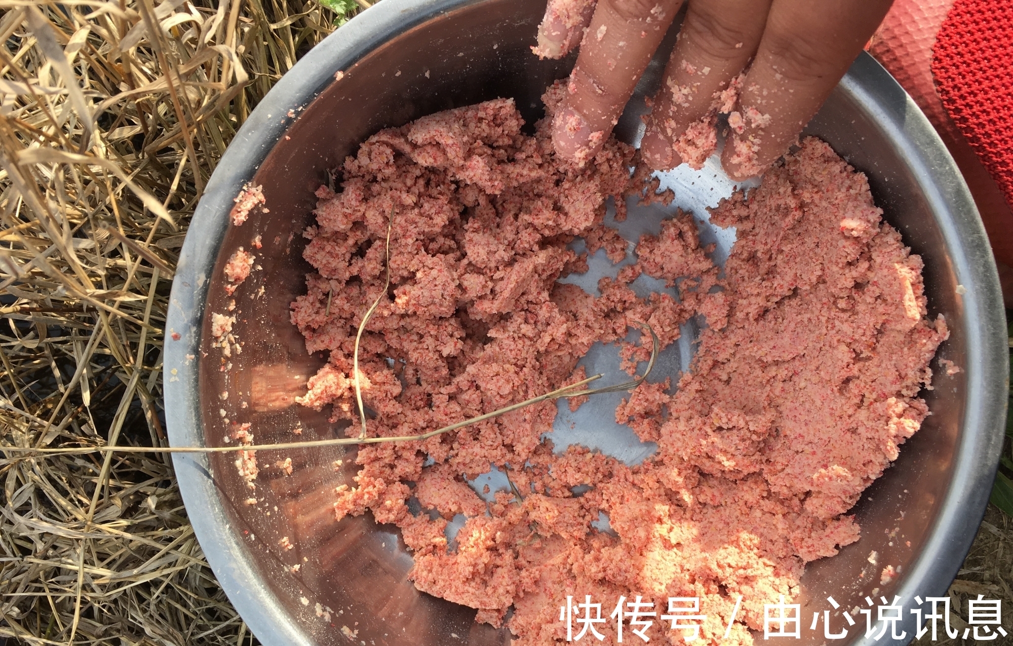 钓鱼潜规则知多少?这8种大忌不能犯,全做到的算真钓鱼人