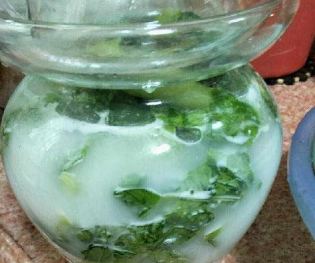 要点|腌酸菜,牢记3要点,腌出的酸菜耐放不发霉,酸爽香脆口感超棒