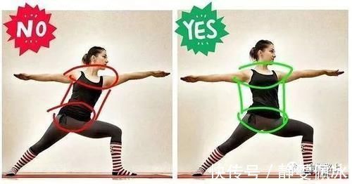 胸腔|为什么瑜伽练习不能照葫芦画瓢?看过这些图你就懂了…