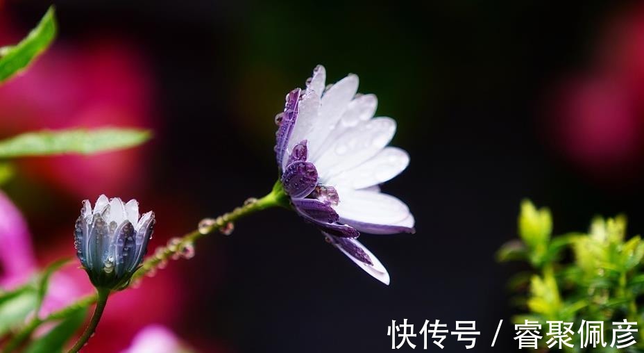 柴米油盐|人这一生,拼到最后,无非就为一个字