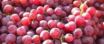 角鲨烯|肝不好不要怕,常吃6种食物,增强肝功能,肝脏或越来越健康