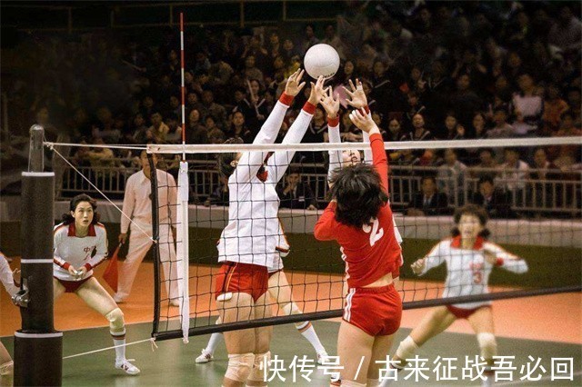 副司长|女排功勋转业成副司长,任职8个月辞职,远赴美国成医疗公司员工