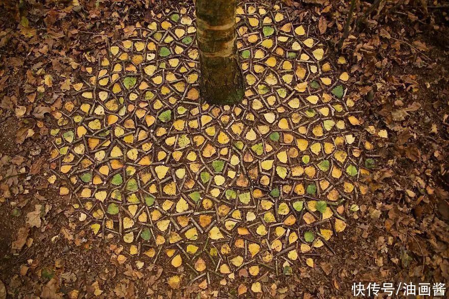 詹姆斯|艺术家用石头和树叶“作画”,网友直呼:太解压,治愈强迫症