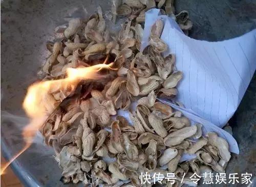 这2种“壳”丢了太可惜,埋花土里3年不板结,种什么花都旺!