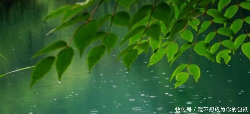 灵活|李商隐的这首《细雨》,写得灵活而新鲜,通篇写雨没有一个雨字!