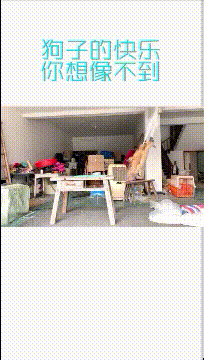 |搞笑gif段子:比奔驰宝马还霸气的车队有木有