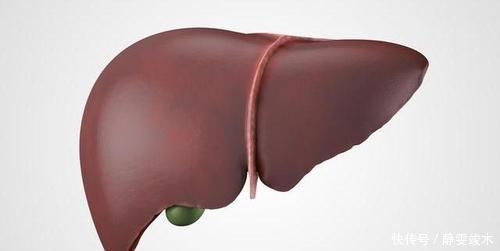 油腻食物|食物“解毒王”已找到,没事吃点,养肝排毒,让你“肝净”如新