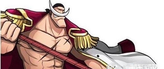 海贼王|海贼王实力排名前十的人物