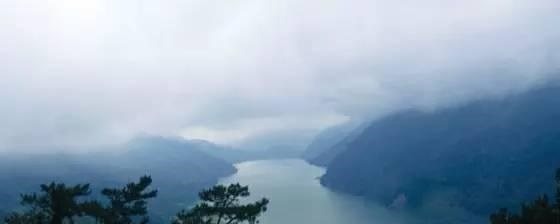 野钓时遇到这样的钓位别错过,这些都是绝佳的钓位!