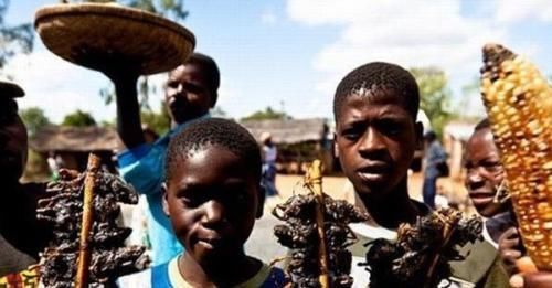 非洲|这三样食品在中国被认为是垃圾食品,到了非洲后,却被土豪当作宝