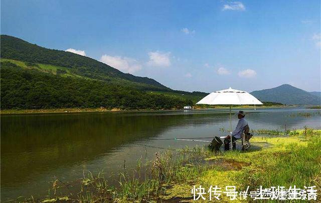 水域|别再抢老钓位了,“秋老虎”鱼儿都藏在这,选这垂钓事半功倍