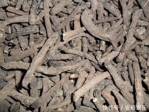 农民用来泡酒,殊不知人称“长寿菜”,200元一斤,跟人参比肩