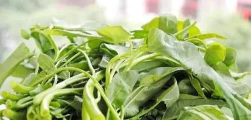 中年|女性到了中年推荐3种食物，刮油减脂，排毒养颜，营养又瘦身