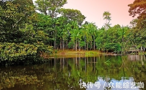 亚马逊|世界上最大的热带雨林，面积超过大半个中国，号称“地球之肺”