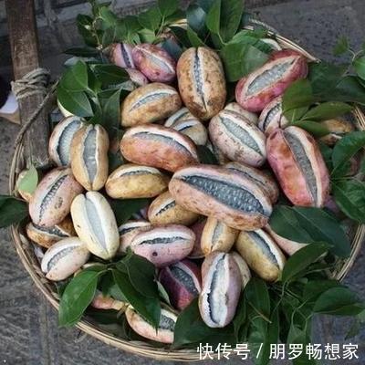 亩产量|农村一种野果,看起来像香蕉,吃一口甜得发腻,老人、小孩都爱吃
