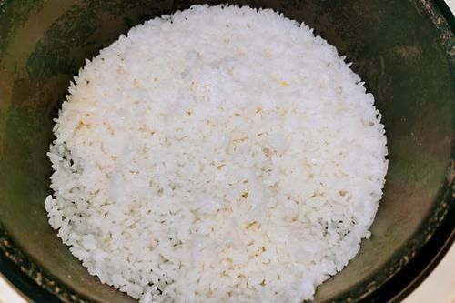 煮白饭别只加水,不香不饱满,多加它们,白饭饱满还香甜,特实用