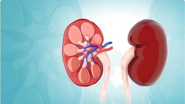 月经|女人来例假时，多喝4水，暖宫排污血，子宫也许对你说“谢谢”