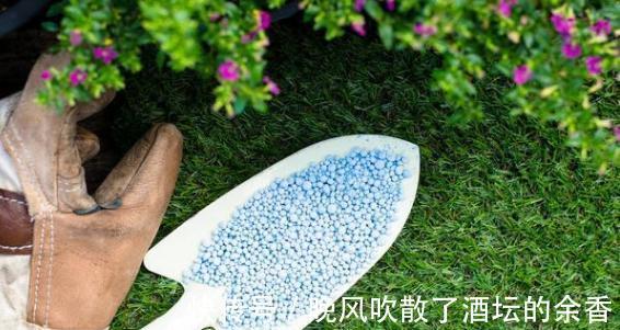 养花施肥不懂！摸清这3知识点，保证盆栽用对肥得到最佳效果