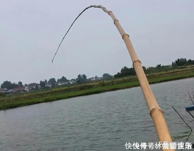 钓鱼|禁钓范围逐步扩大已是大势所趋,或将对钓鱼人、渔具业影响深远