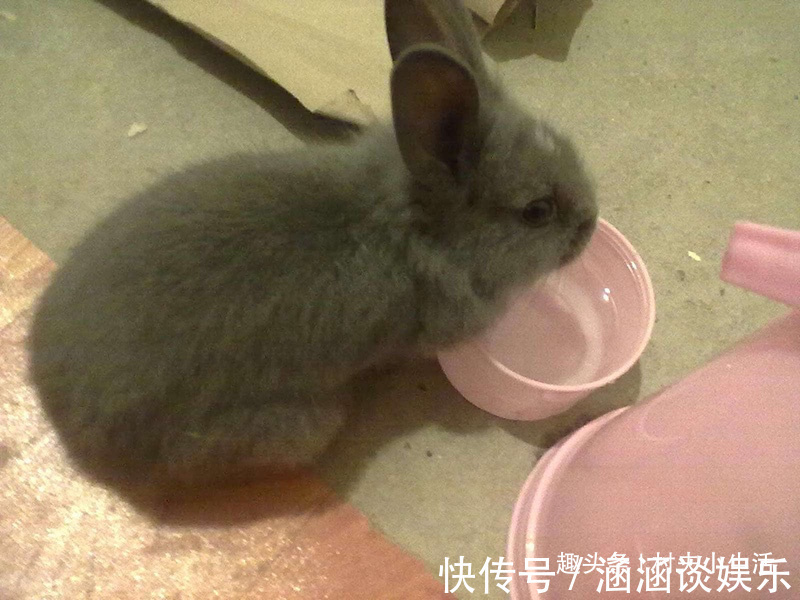 露出水面|食用油桶不要扔,清洗干净改造一个神器,家家户户都用得上