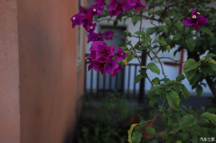 奶爸|准奶爸的座驾福克斯ST-line，颜值与性能齐飞