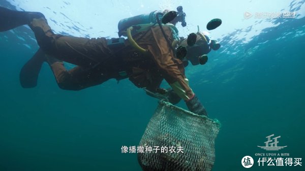 佐餐佳片——风味人间第三季 大海小鲜 开播，请各位自行准备好宵夜