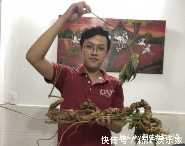 tr百年越南珍珠參，男子花10億拍下，轉手沒人要只好放進冰箱保鮮