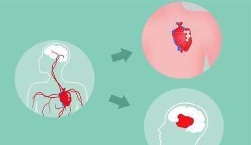 患癌和血型有关A型、B型、AB型、O型,哪种更容易患癌