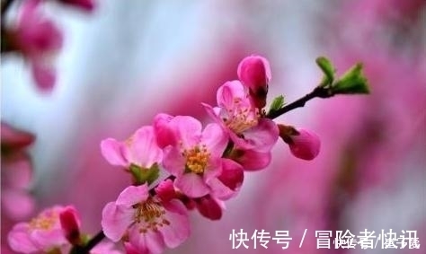 令狐綯|解读温庭筠《碧涧驿晓思》：清晨梦醒时写了一首诗，成为经典之作