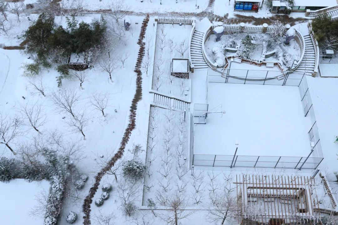 孙俊杰|多图！雪中的烟台高新区美出新高度