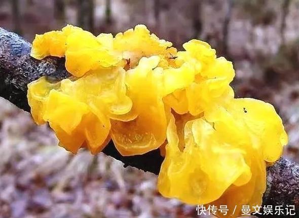 建议中老年人多吃下面这些食物,价格便宜又营