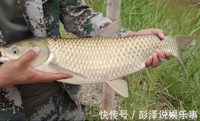 断线真的是因为鱼大吗?不改掉这几个习惯,线再粗也会秒切