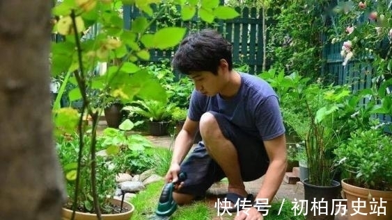 庭院|理想的生活，一定要有一个种满花植的庭院，经过自己精心打造