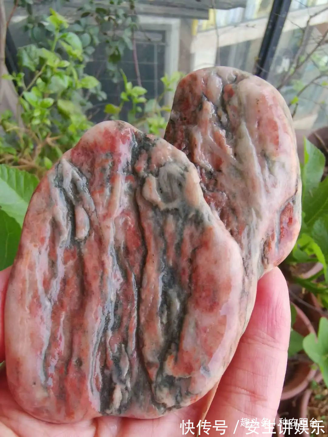 山水盆景不是非“水”不可,看山石与树木如何演绎一道山水盆景!