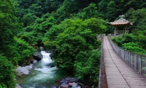 游山玩水、赏花赏景…...来黑竹沟邂逅初夏第一波清凉！|乐游嘉学 | 赏花