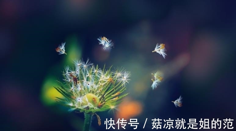 二心|有感情“洁癖”的3大星座，一次不忠，或终生不用