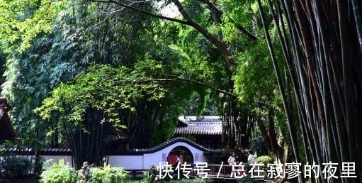 曲江|杜甫最落魄时的一首诗,身处困境却乐观向上,其中7个字流传千古