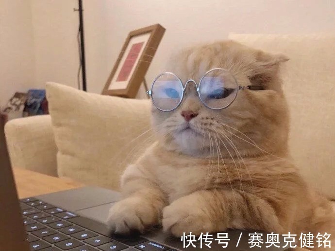 夏日|可爱抓夹拿来吧你!夏日小心机搭配神器,潮流果然是个轮回