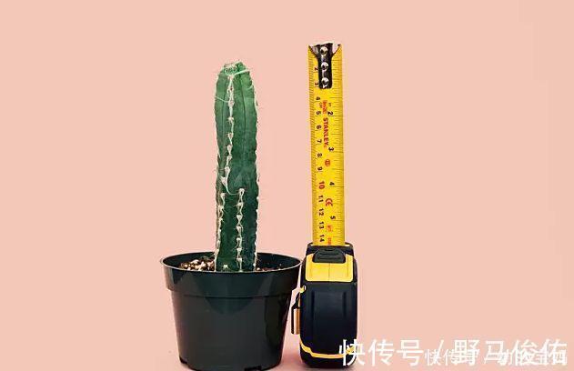 生长速度|忽略了这点,孩子身高只有1米5,父母知道真相后悔不已