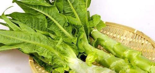 叶酸|天然的“叶酸”找到了,女人每天吃两口,通乳散结,远离乳腺增生